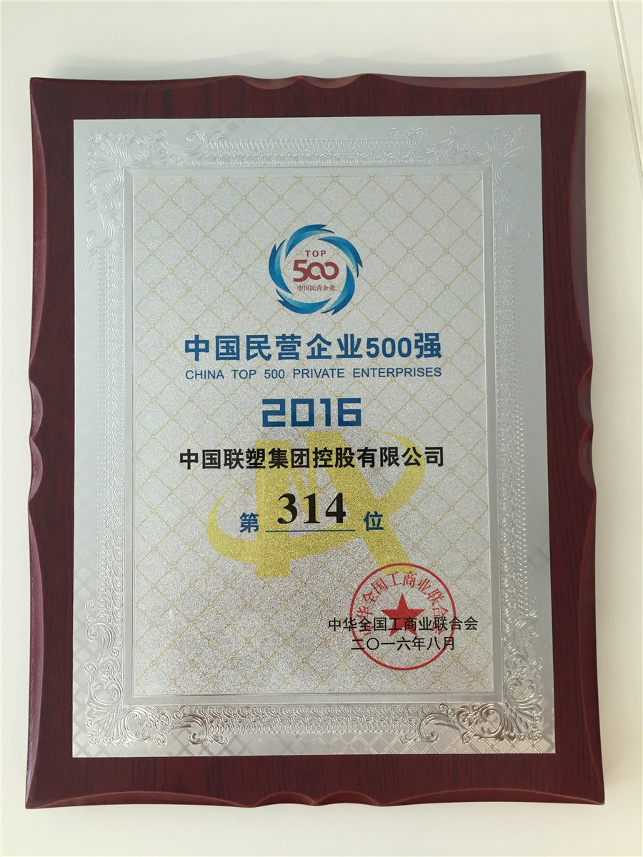 2016中國民營企業500強第314位